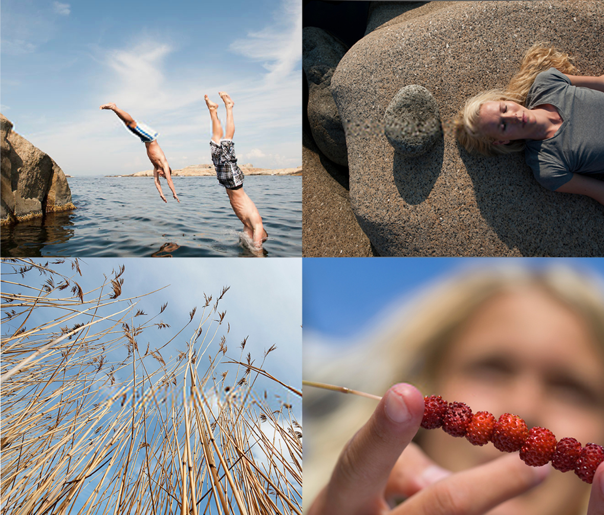 Kollasj med eksempler på bilder som profilerer Vestfold og Telemark og viser fram mangfoldet
